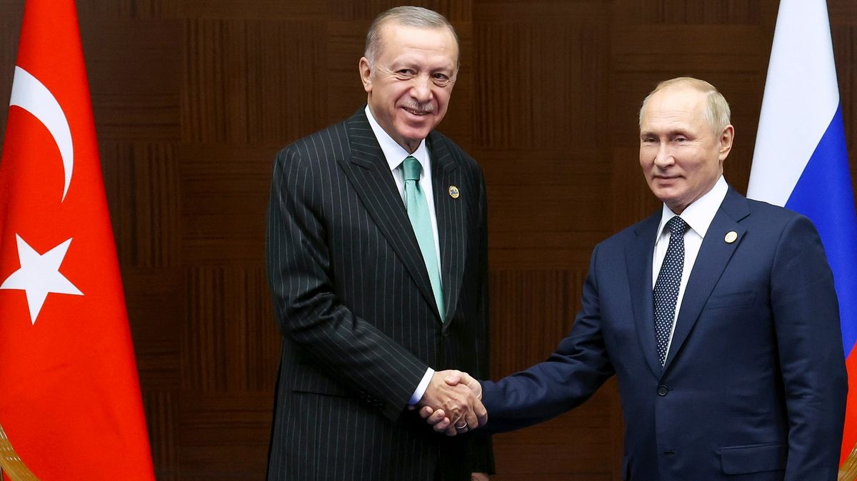 Propuštěním azovských velitelů vrazil Erdogan Putinovi nůž do zad, zhodnotil vlivný ruský senátor